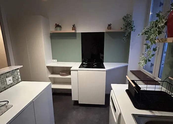 Grand Et Chaleureux Proche Kinepolis Apartment *