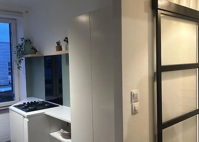 Grand Et Chaleureux Proche Kinepolis Apartment