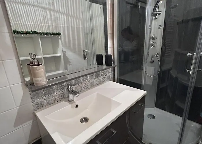 Grand Et Chaleureux Proche Kinepolis Apartment *